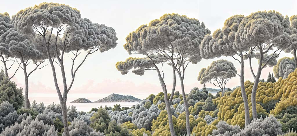 Image croppée