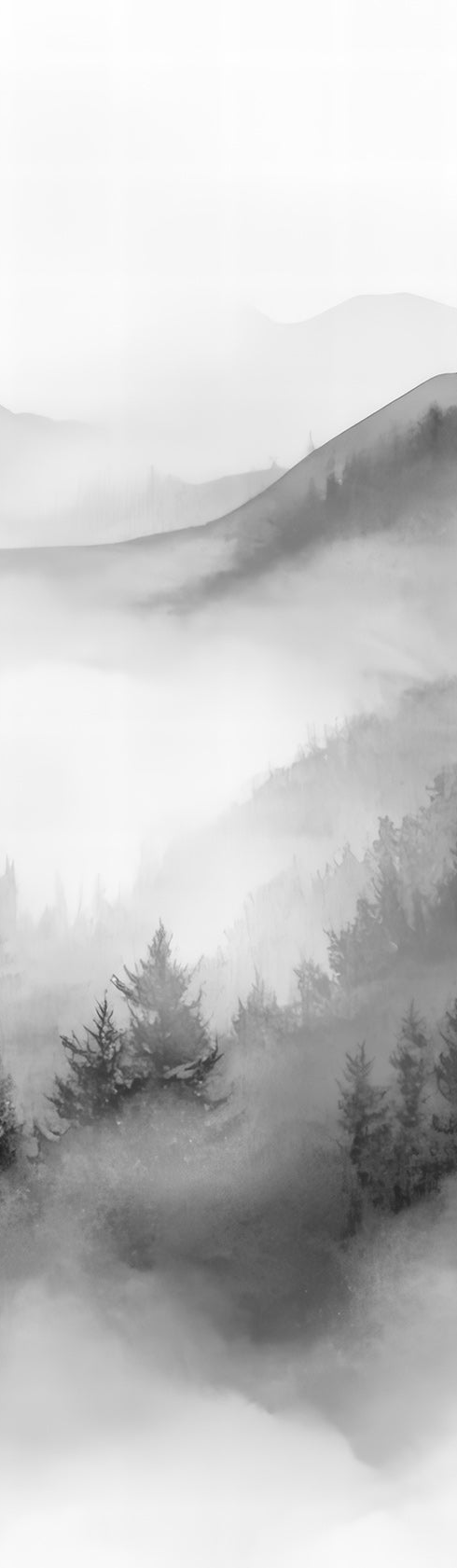 Image croppée
