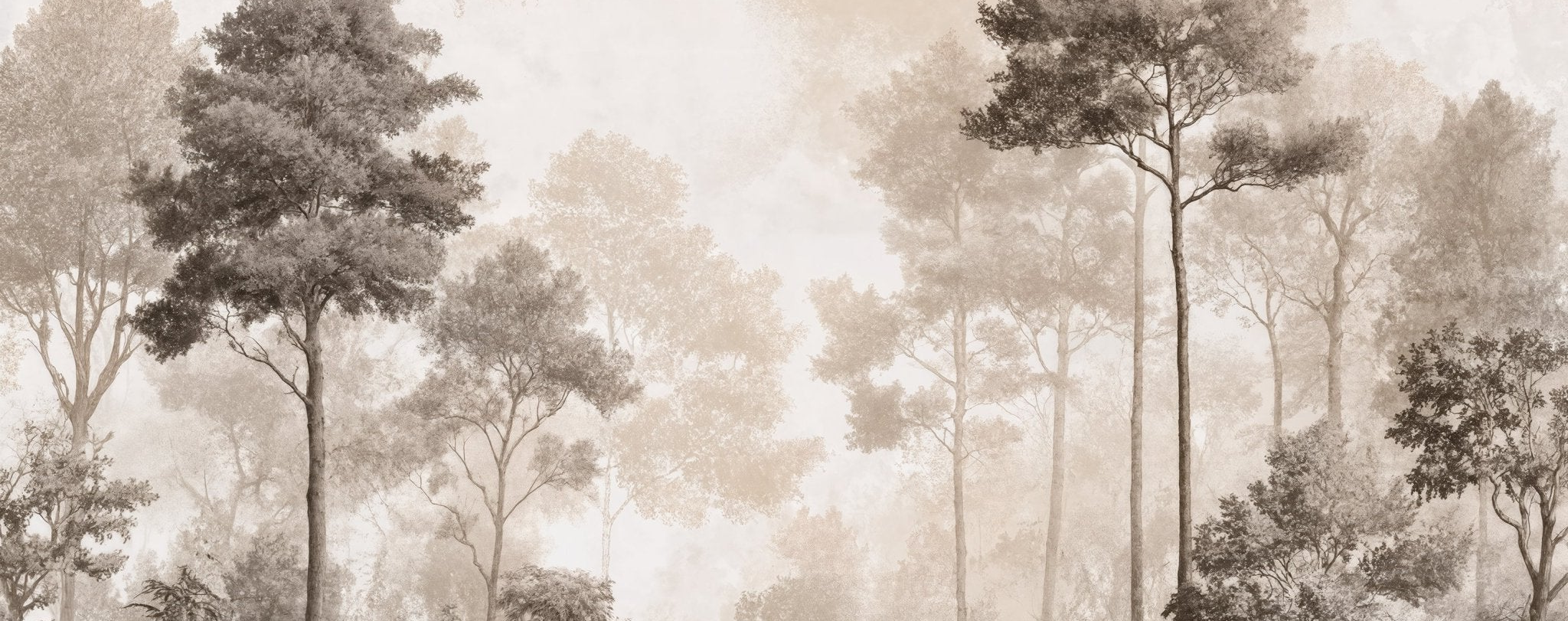 Forêt des Silences