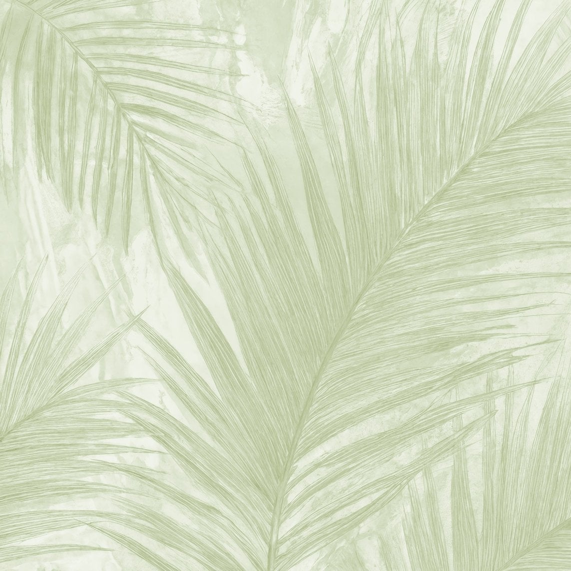 Palmier nude vert