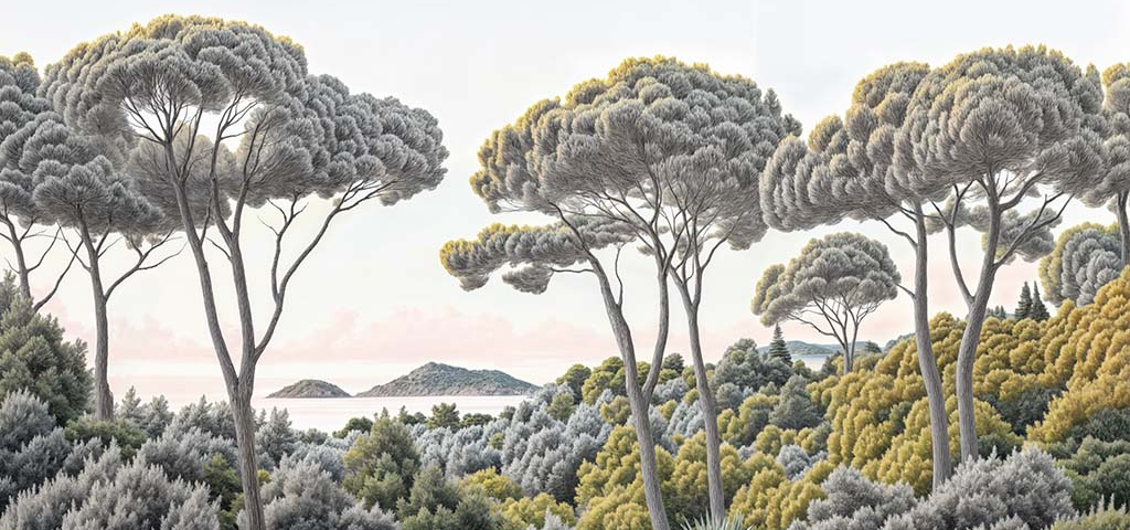 Image croppée