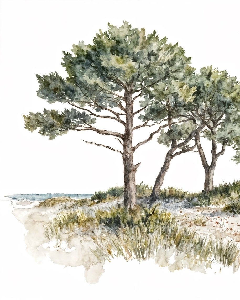Image croppée