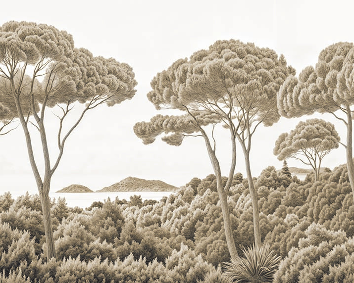 Image croppée