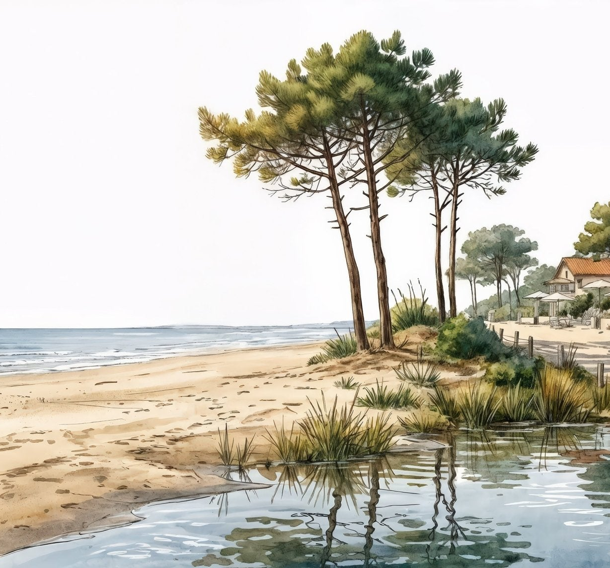 Balade au Cap Ferret