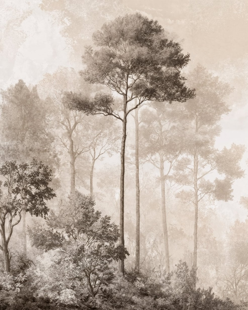 Image croppée