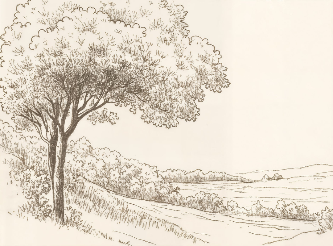 Image croppée