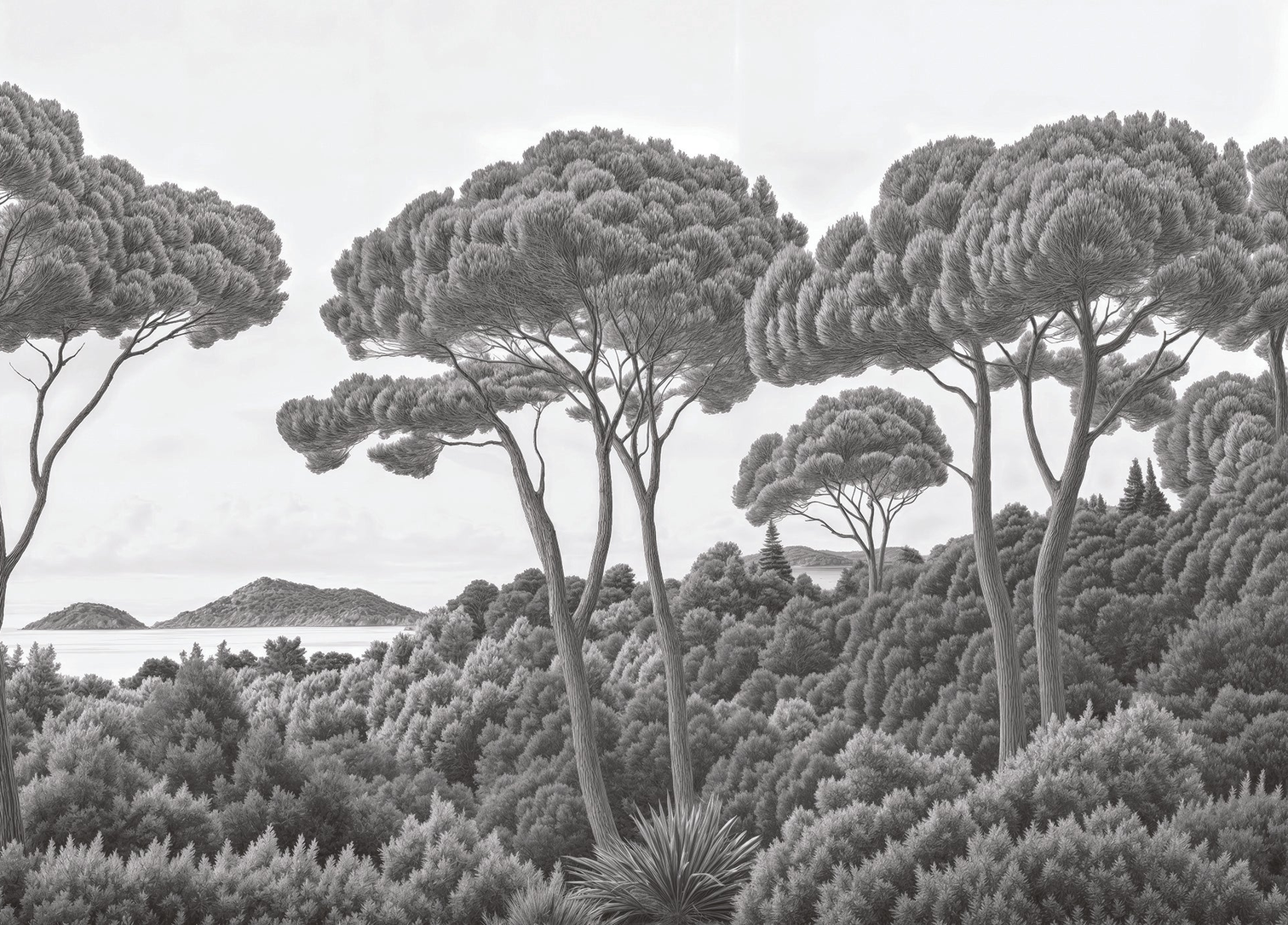 Image croppée
