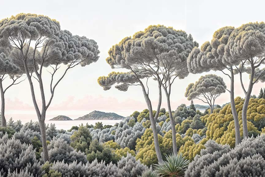 Image croppée