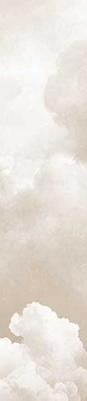 Image croppée