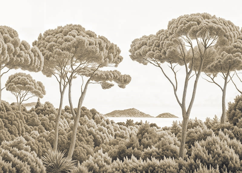 Image croppée