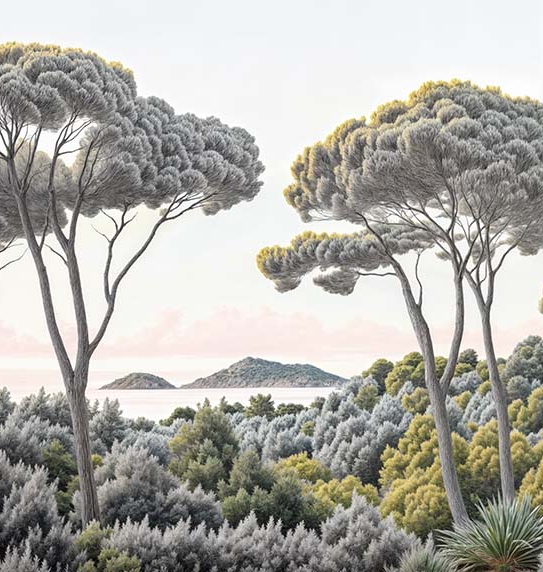 Image croppée