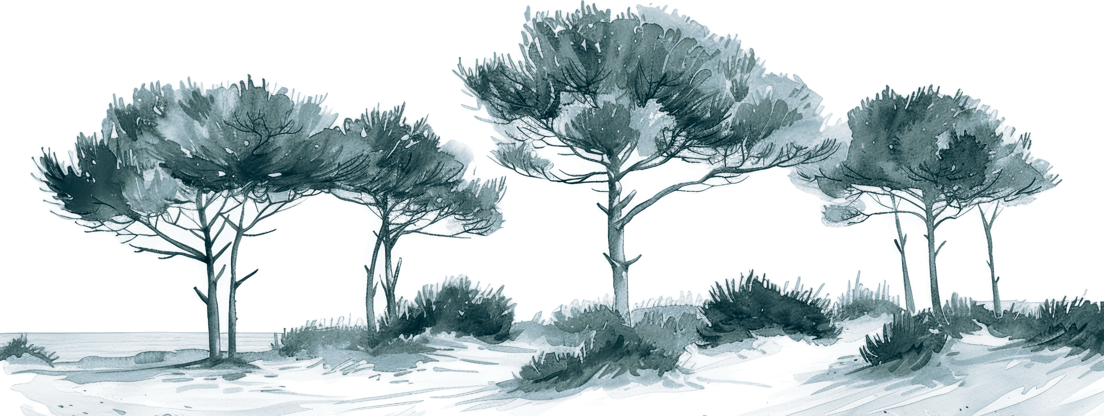 Les Pins de la Plage Bleu gris