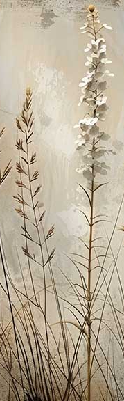 Image croppée