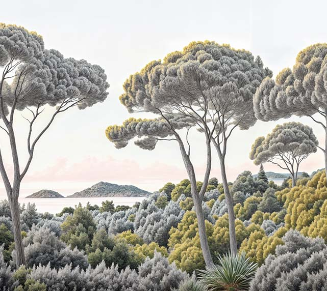 Image croppée