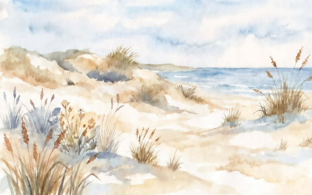 Image croppée