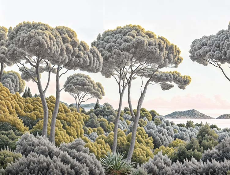 Image croppée