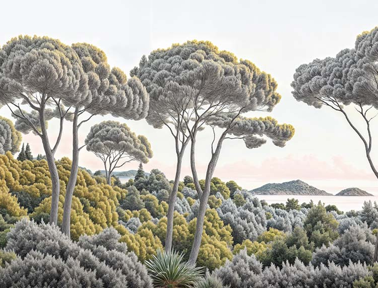 Image croppée