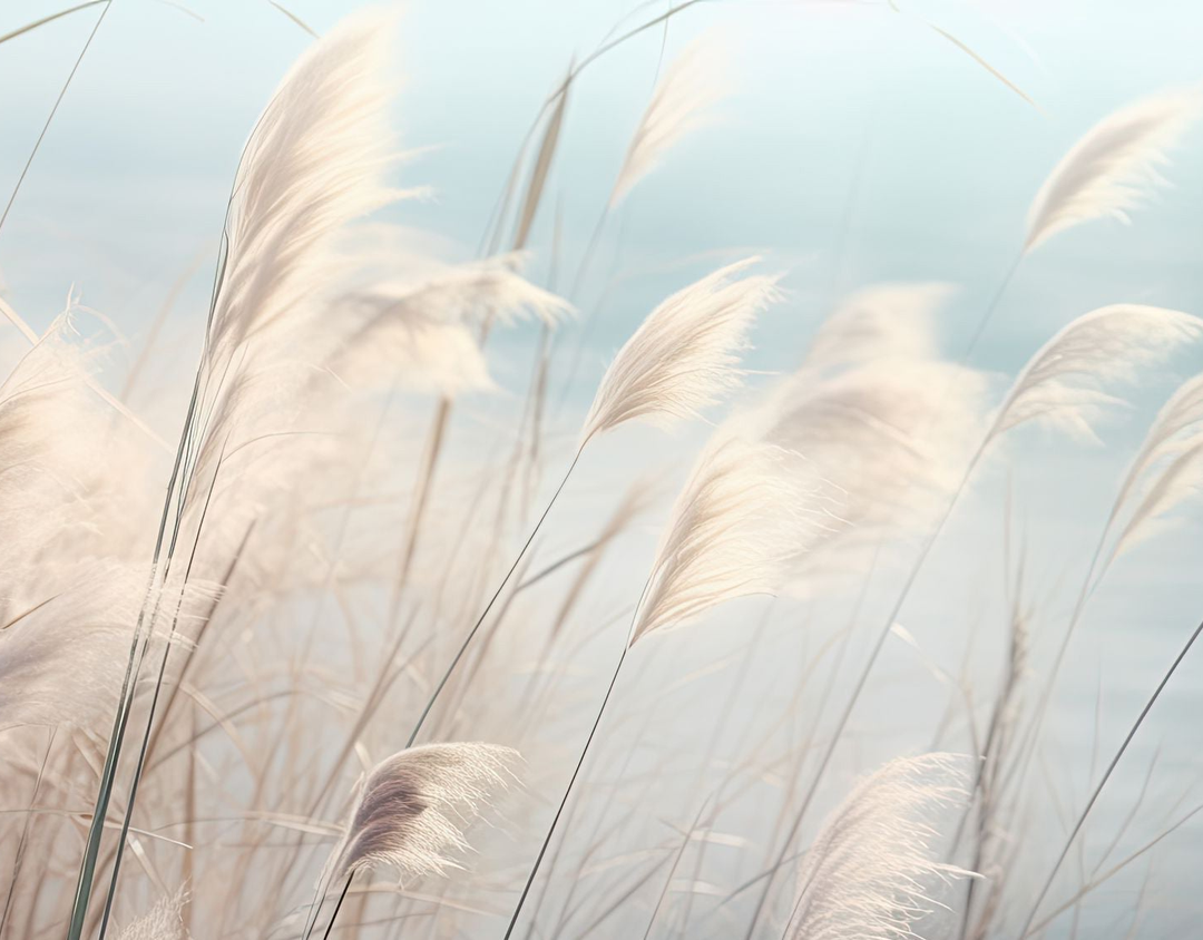 Image croppée