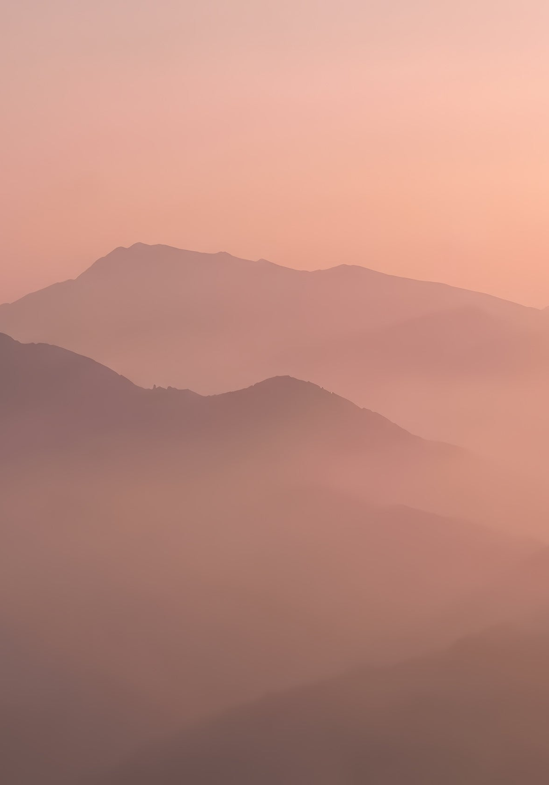 Image croppée