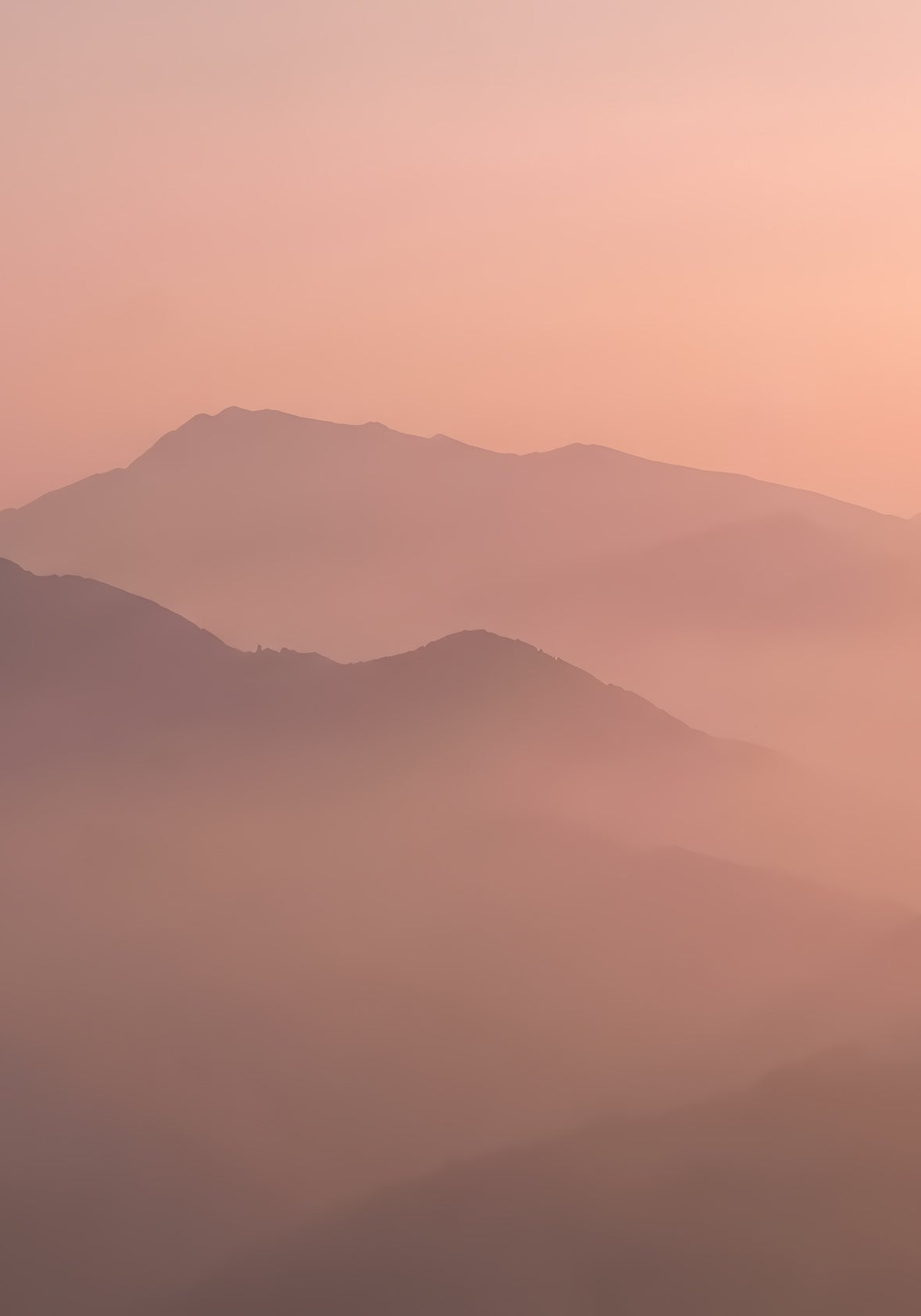 Image croppée