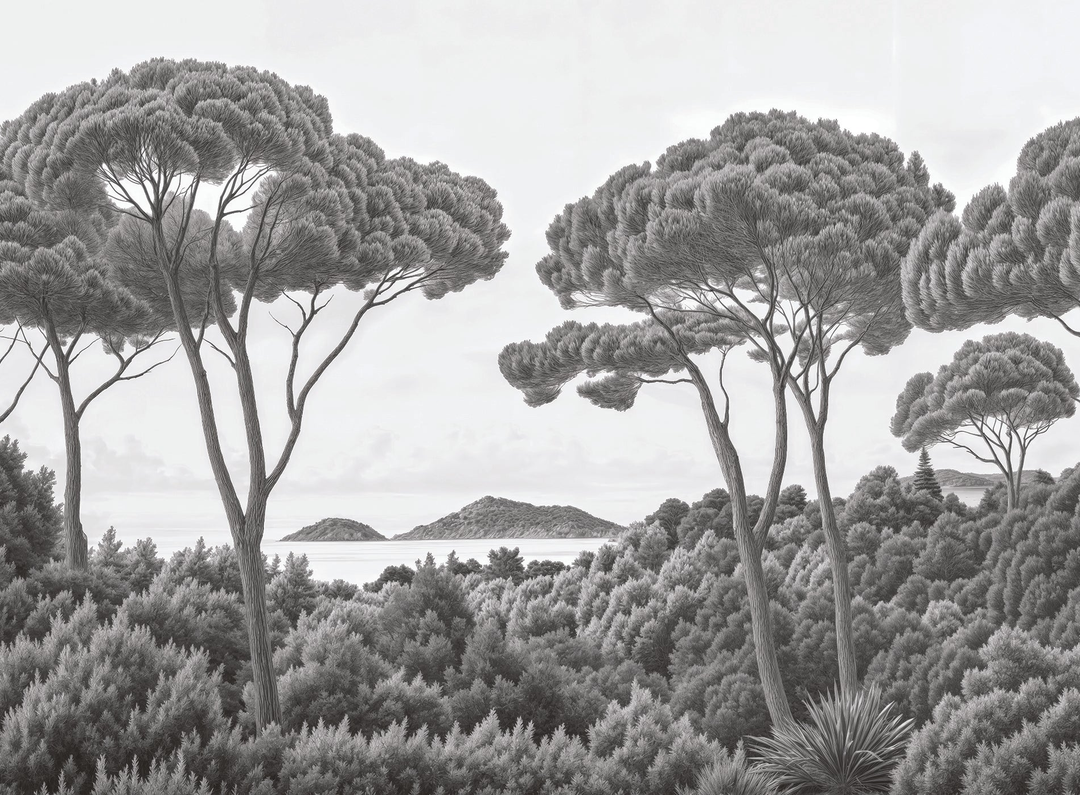 Image croppée