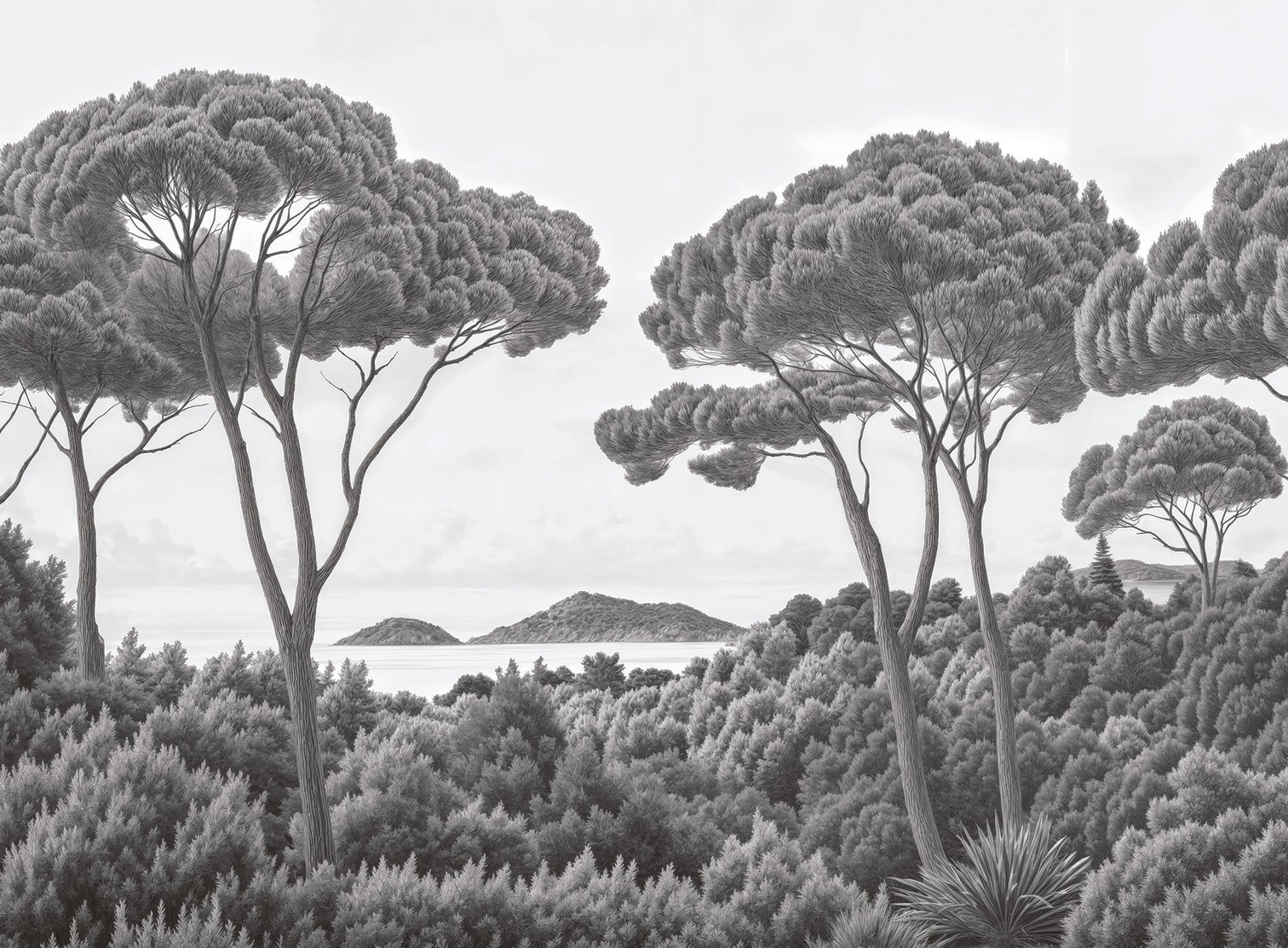 Image croppée