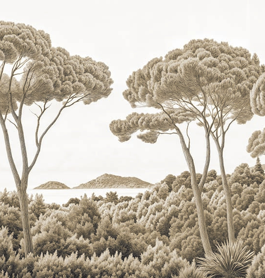 Image croppée