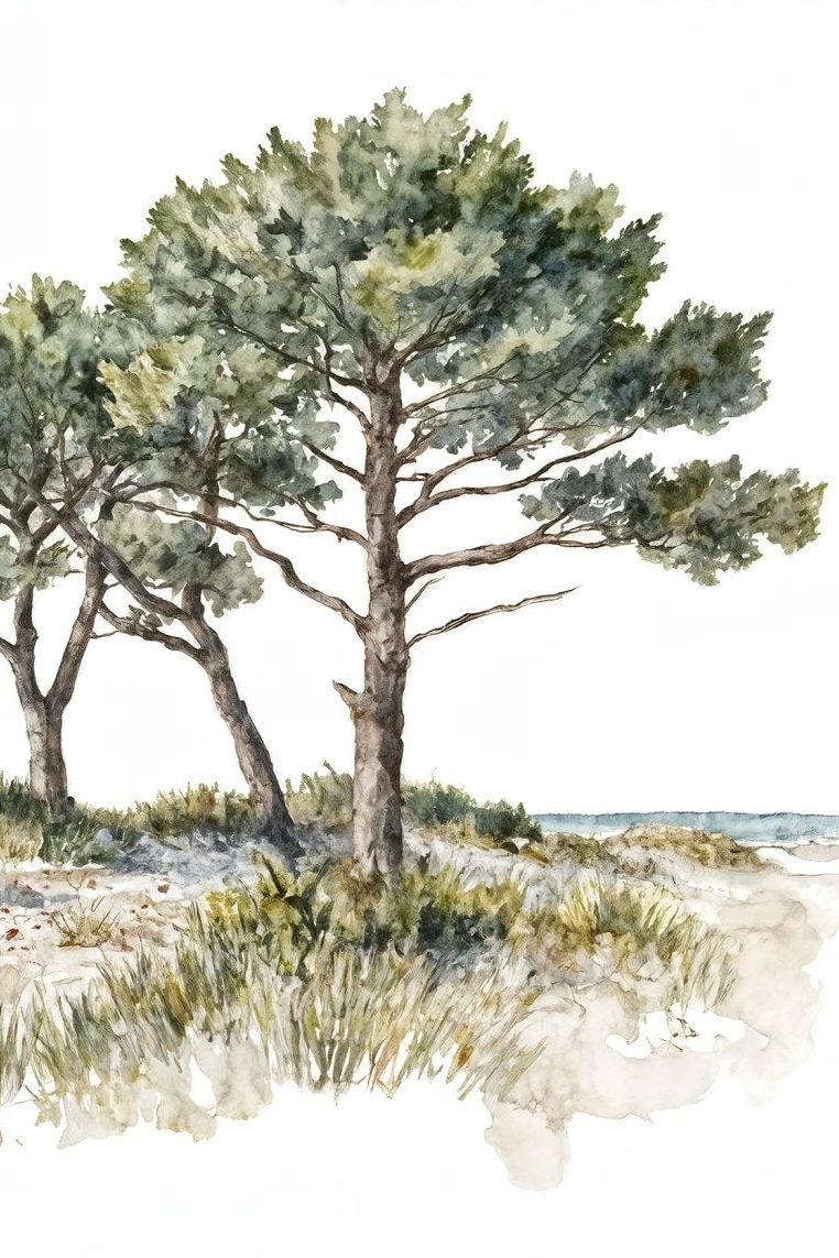 Image croppée