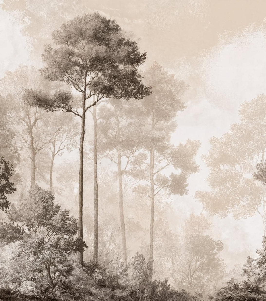 Image croppée