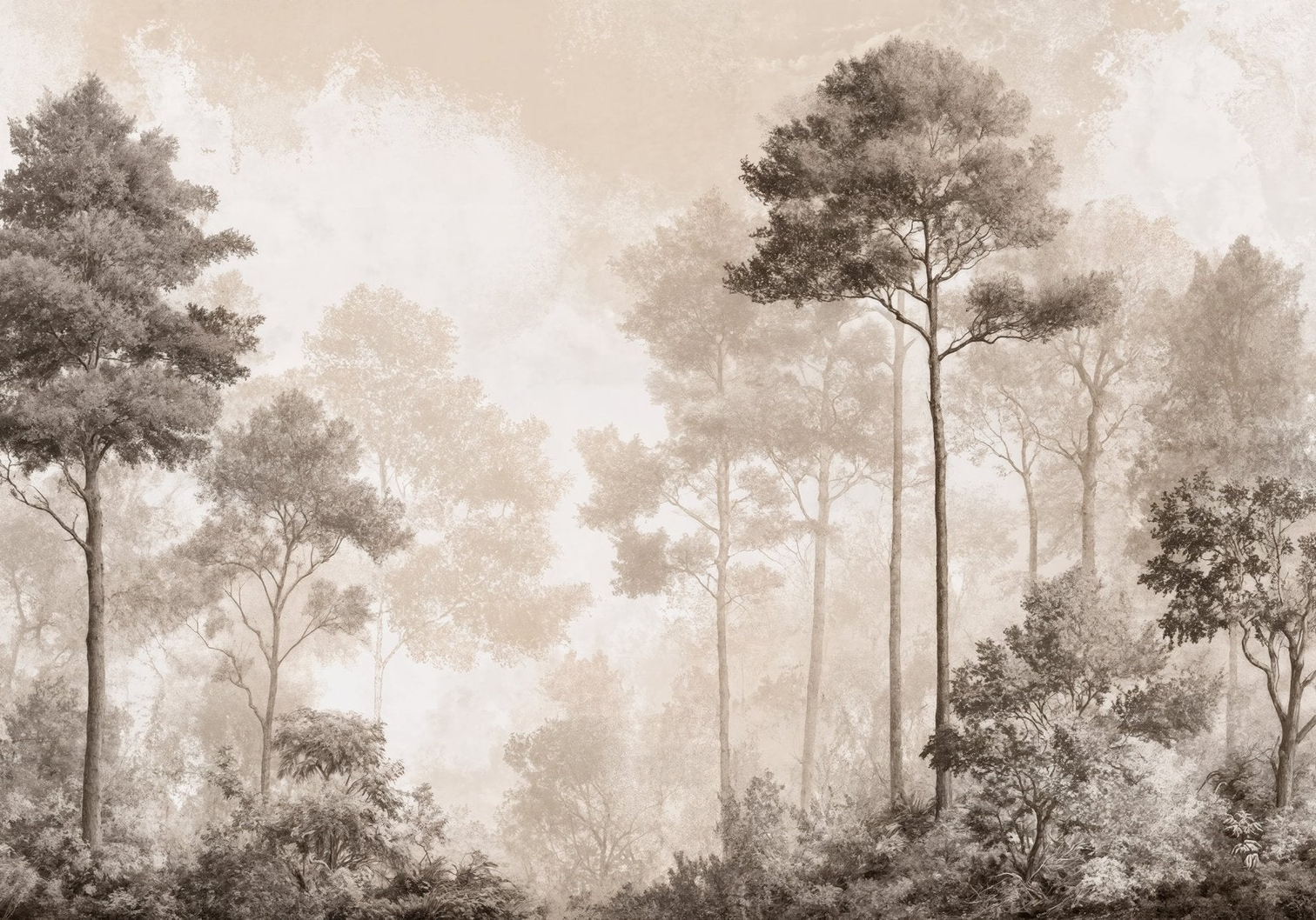 Image croppée