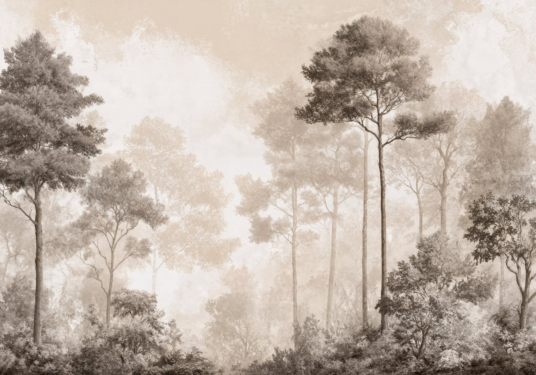 Forêt des Silences