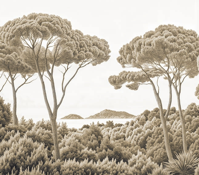 Image croppée