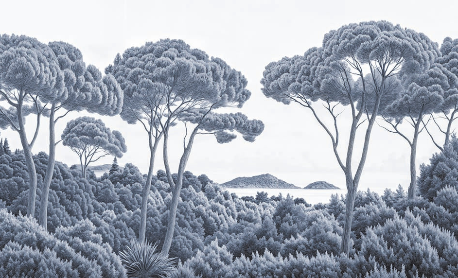 Image croppée