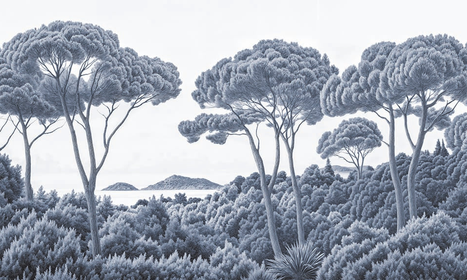 Entre pins et mer cyanotype