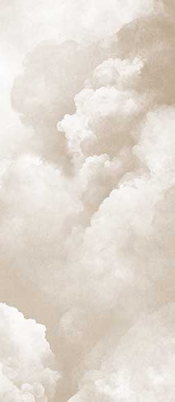 Image croppée