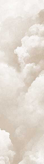 Image croppée