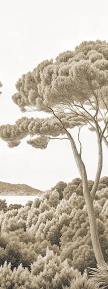 Image croppée