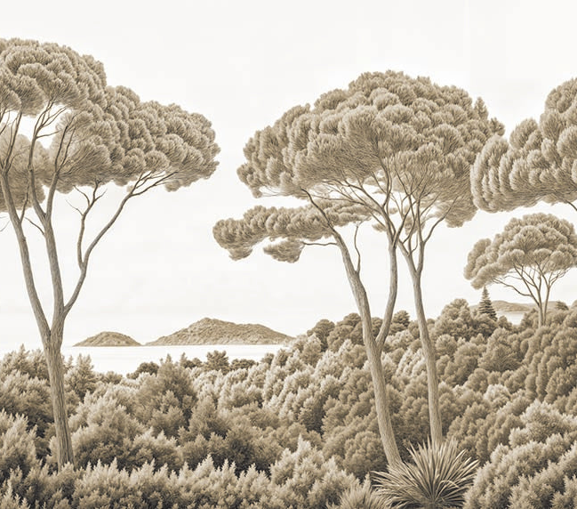 Image croppée