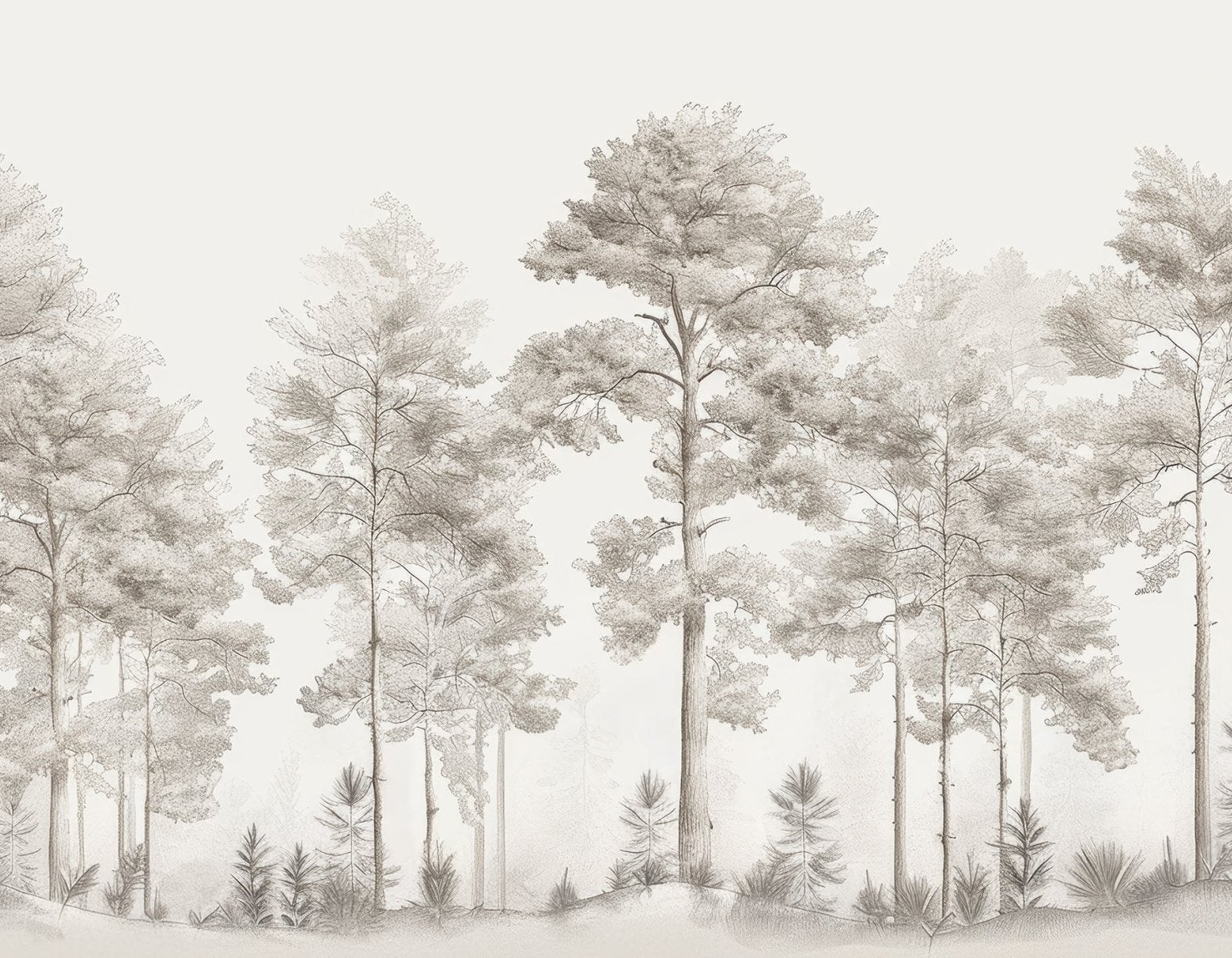 Douceurs des bois