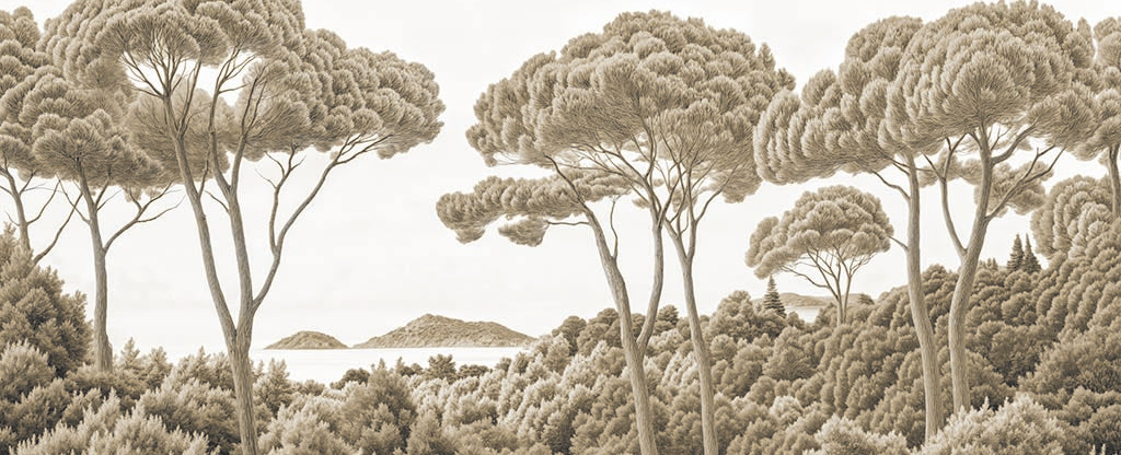 Image croppée