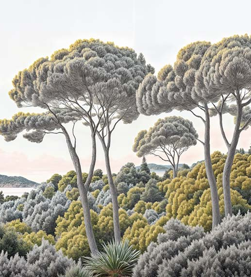 Image croppée