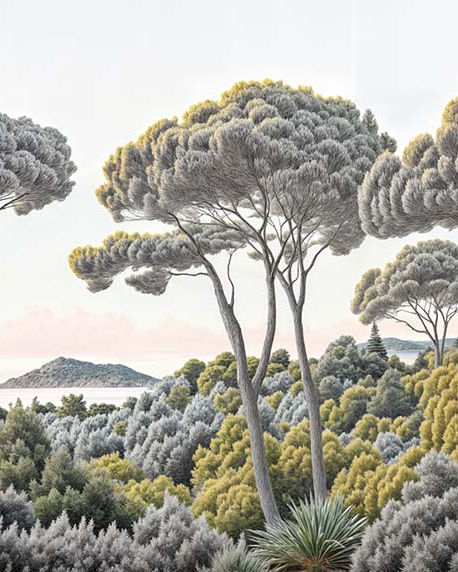 Image croppée