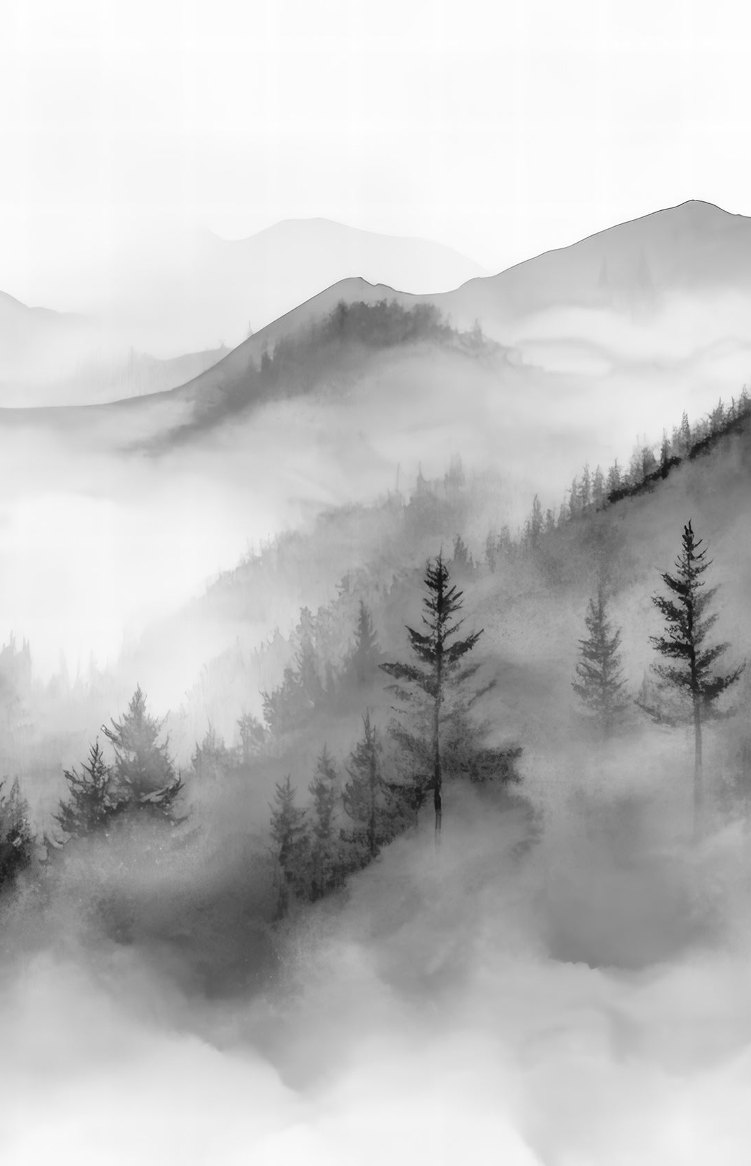 Harmonie brumeuse  en noir et blanc