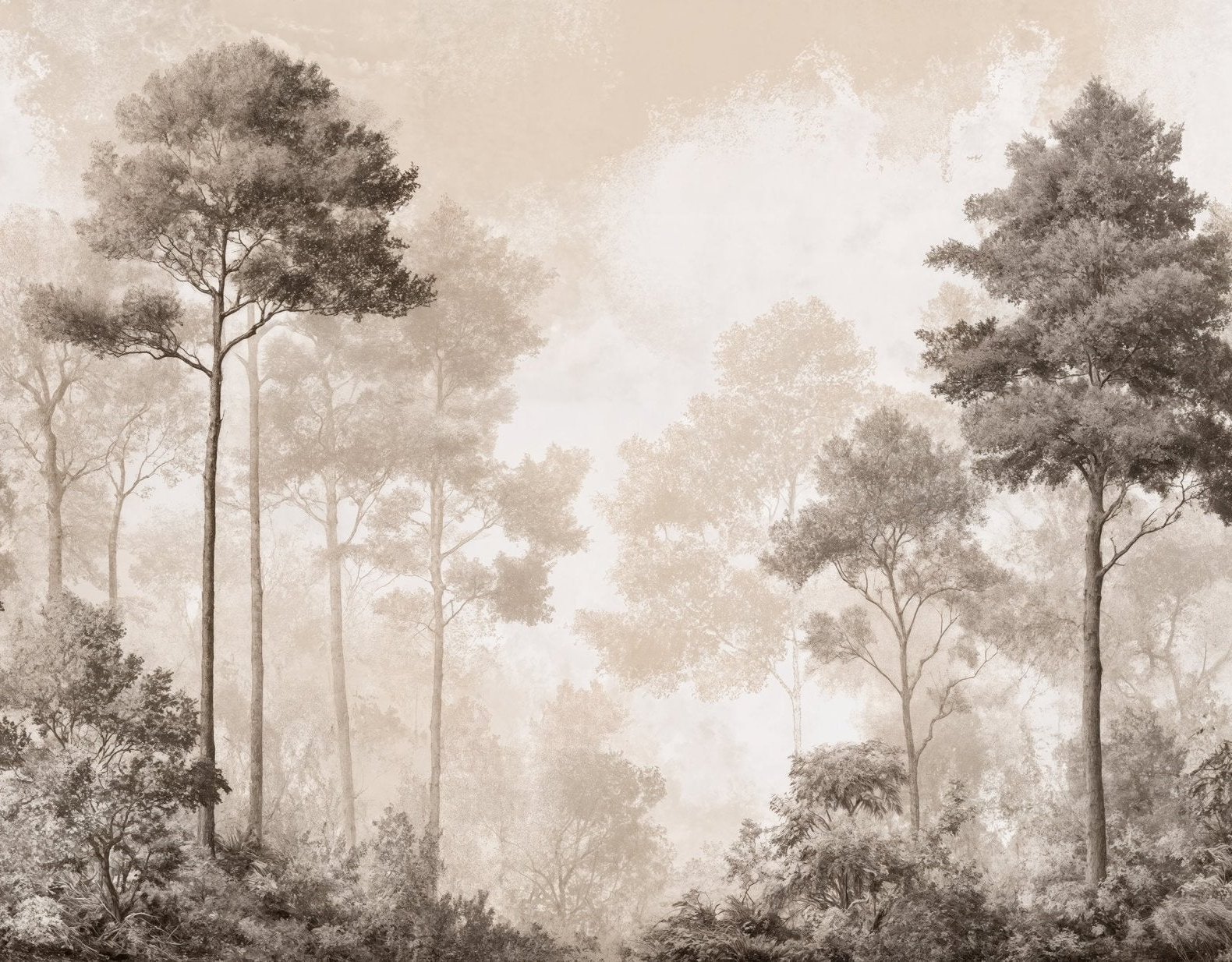 Forêt des Silences