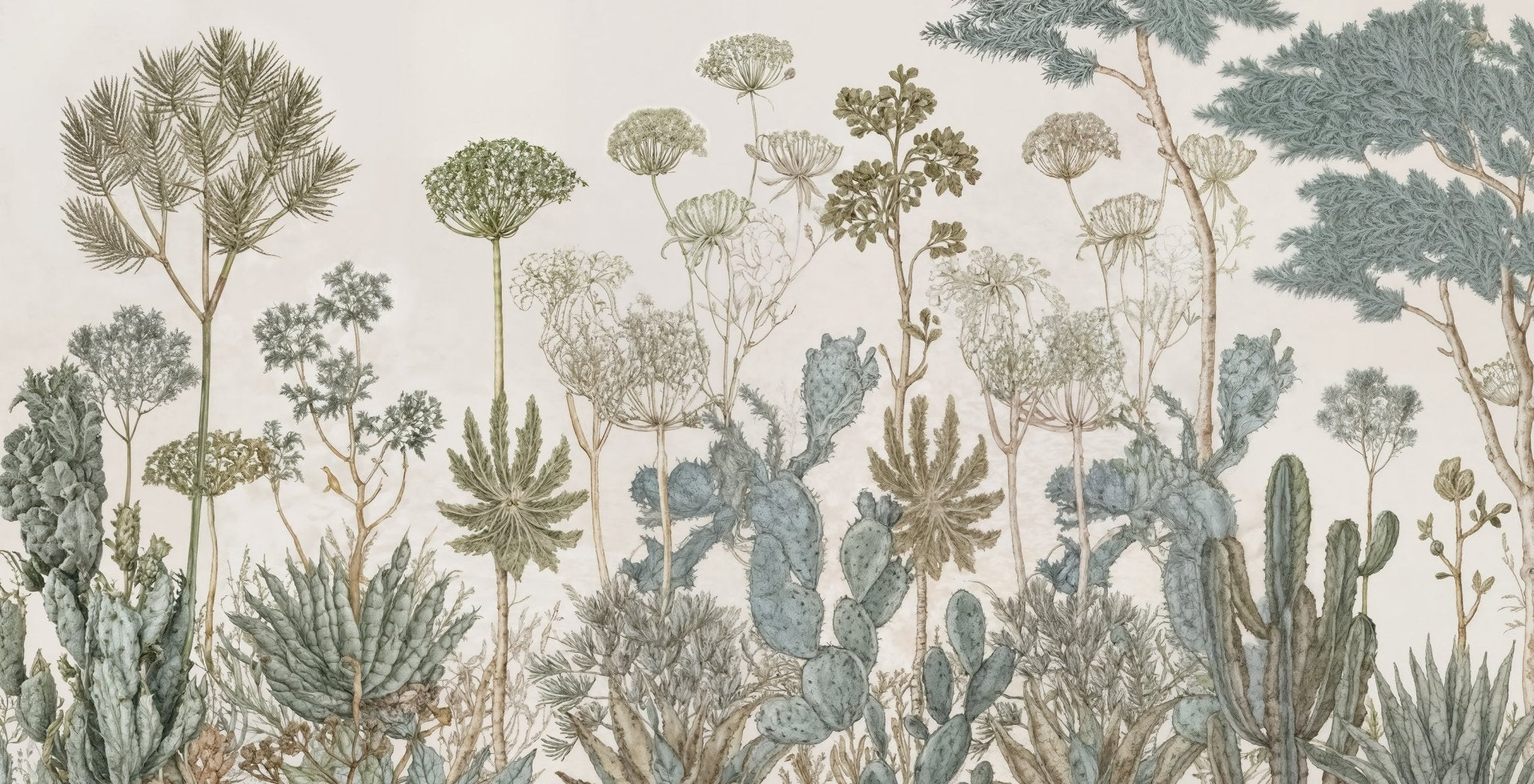 Herbarium Cactus