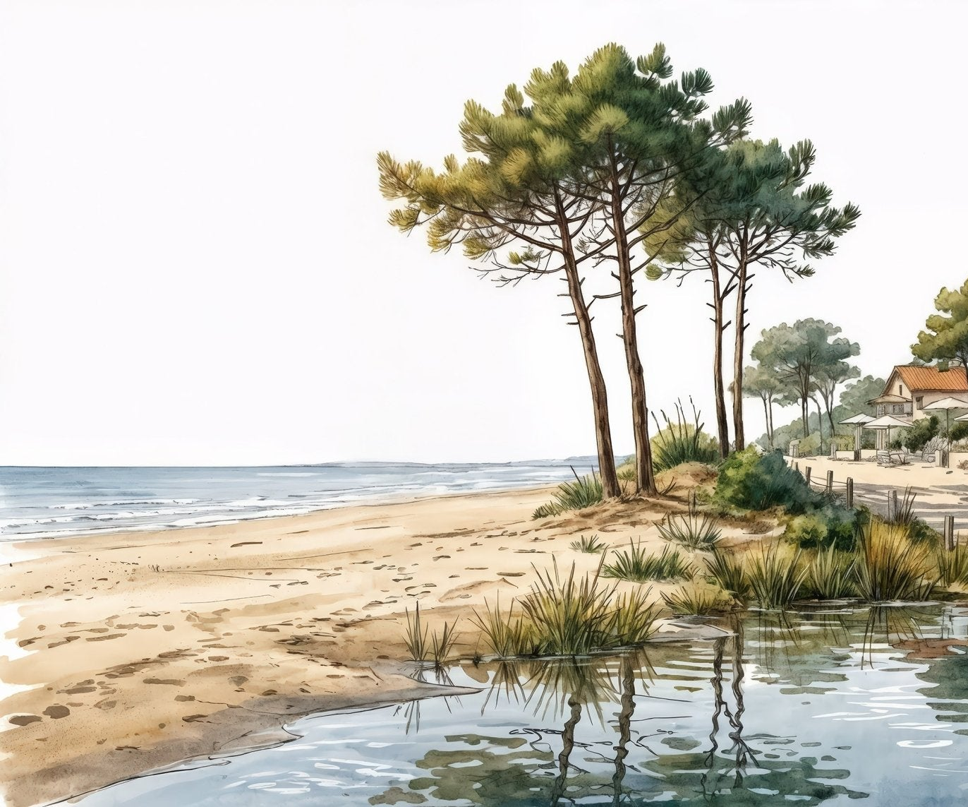 Image croppée