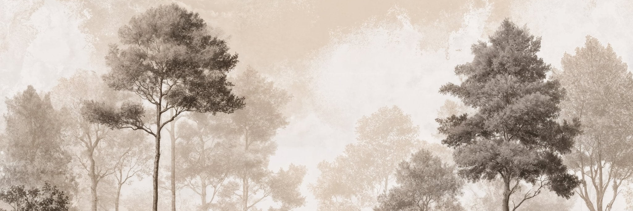 Forêt des Silences