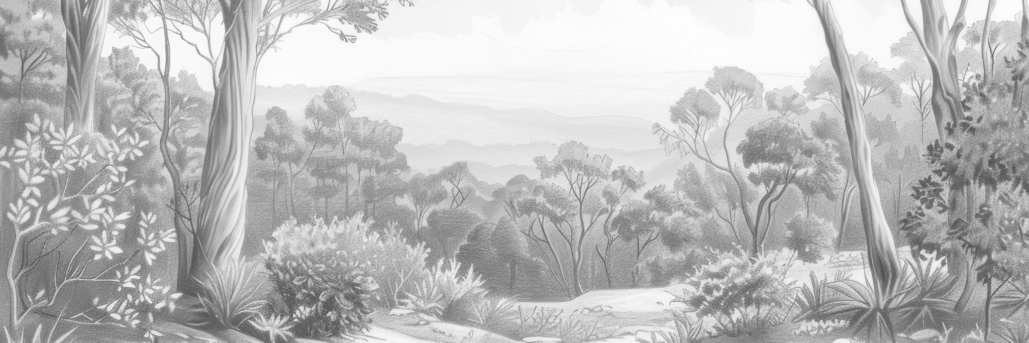 Nature intemporelle