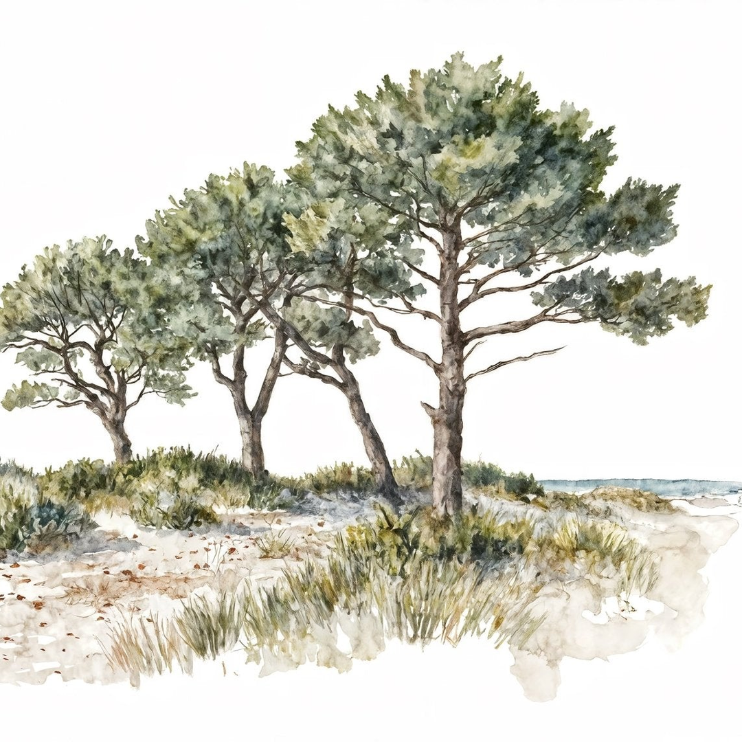Image croppée