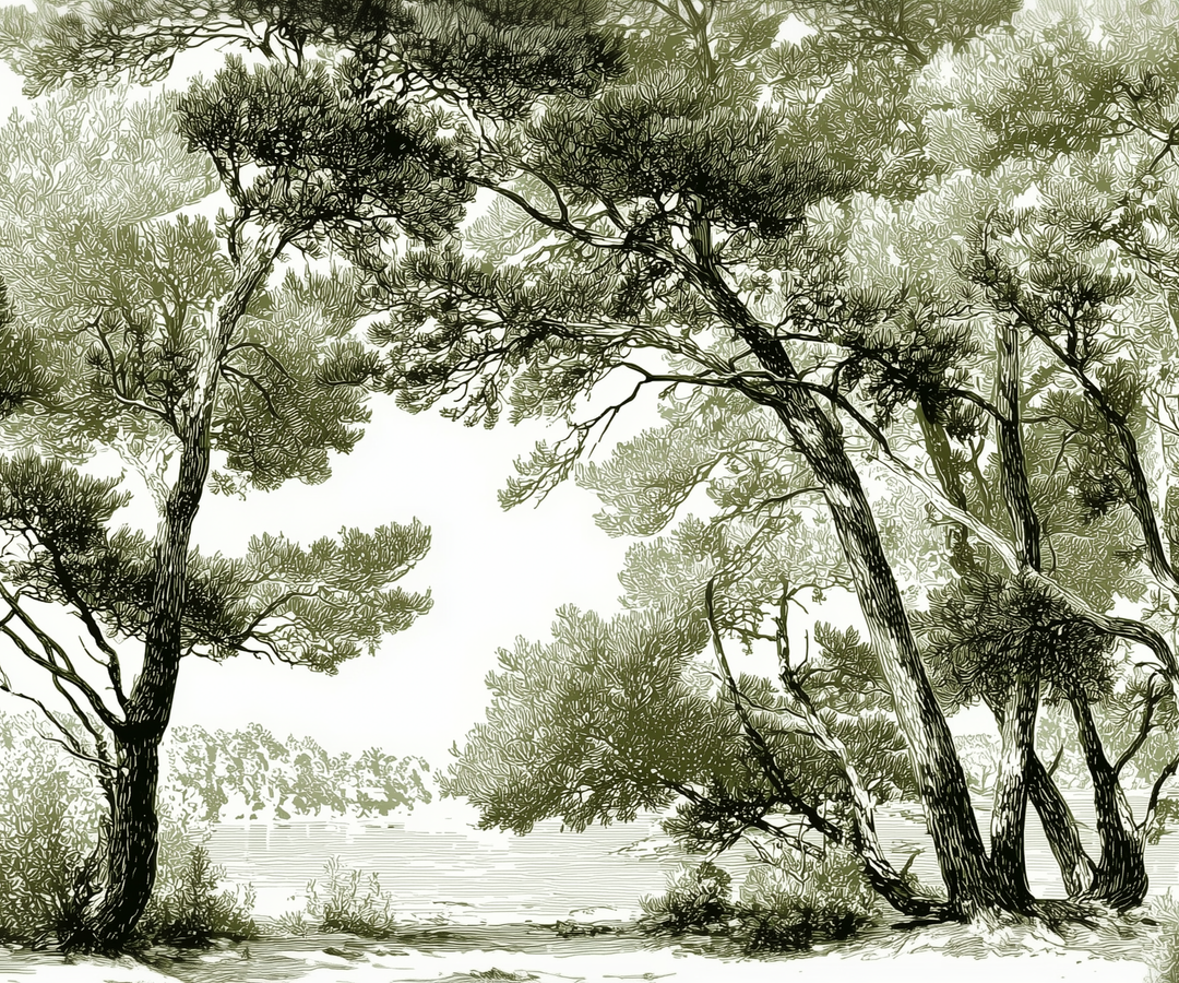 Image croppée